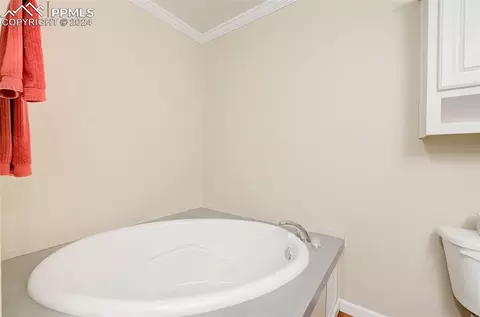 31 Will Stutley Dr, Divide, CO 80814 photo 15