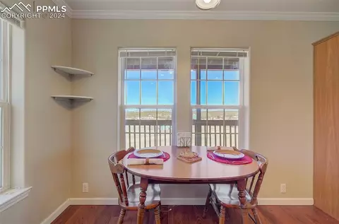 31 Will Stutley Dr, Divide, CO 80814 photo 10