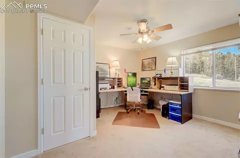 31 Will Stutley Dr, Divide, CO 80814 photo 27
