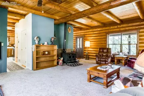 8616 Cedar Mountain Rd, Divide, CO 80814 photo 15
