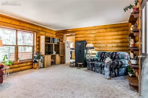 8616 Cedar Mountain Rd, Divide, CO 80814 photo 5