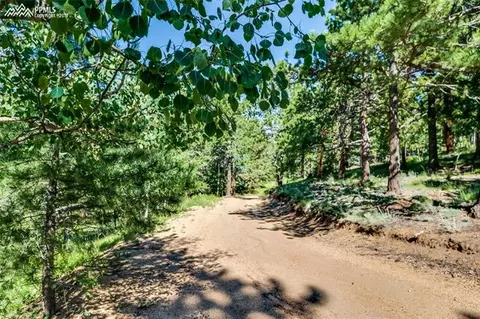 8616 Cedar Mountain Rd, Divide, CO 80814 photo 35