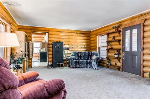 8616 Cedar Mountain Rd, Divide, CO 80814 photo 3