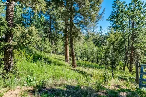 8616 Cedar Mountain Rd, Divide, CO 80814 photo 36