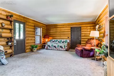 8616 Cedar Mountain Rd, Divide, CO 80814 photo 4