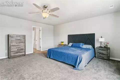 8297 Ansley Ct, Peyton, CO 80831 photo 23