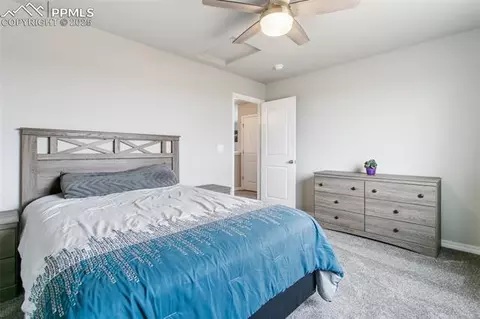 8297 Ansley Ct, Peyton, CO 80831 photo 28