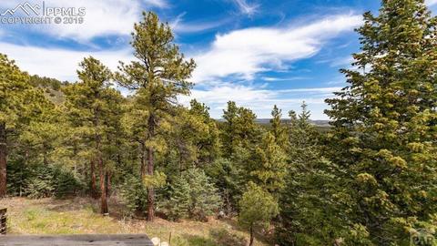 10795 Bartlett Trl, Rye, CO 81069 photo 23