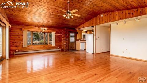 10795 Bartlett Trl, Rye, CO 81069 photo 5