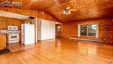 10795 Bartlett Trl, Rye, CO 81069 photo 4