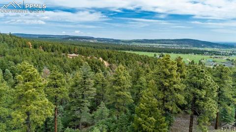 10795 Bartlett Trl, Rye, CO 81069 photo 31
