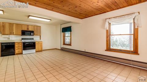10795 Bartlett Trl, Rye, CO 81069 photo 17
