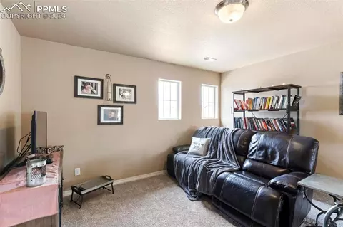 10918 Middlegate Ct, Peyton, CO 80831 photo 13