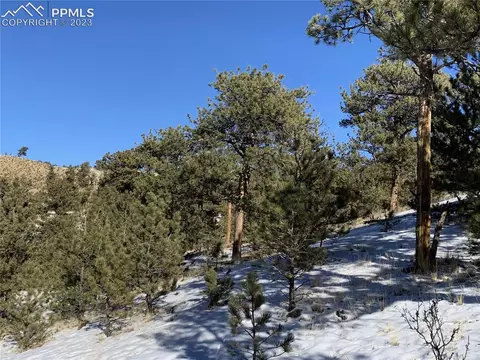 627 Larimer Dr, Hartsel, CO 80449