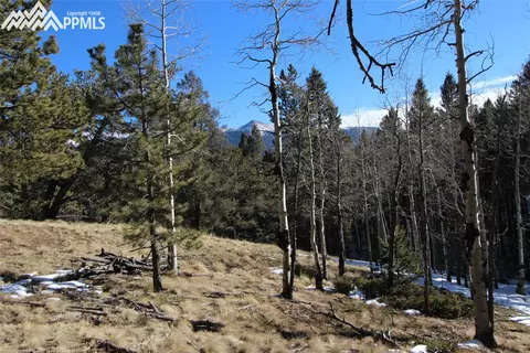 51 Mica Rd, Divide, CO 80814 photo 1