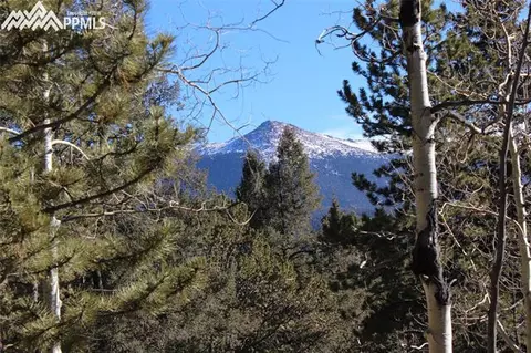 51 Mica Rd, Divide, CO 80814 photo 14