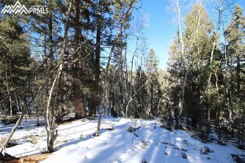 51 Mica Rd, Divide, CO 80814 photo 7