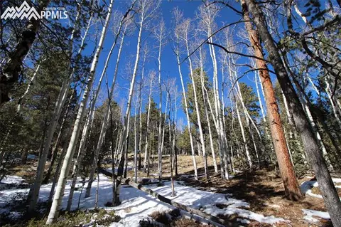 51 Mica Rd, Divide, CO 80814 photo 10