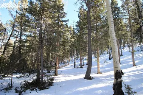 51 Mica Rd, Divide, CO 80814 photo 8