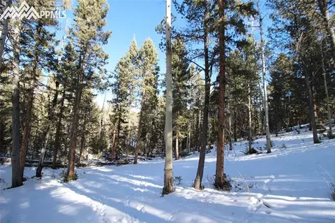51 Mica Rd, Divide, CO 80814 photo 13