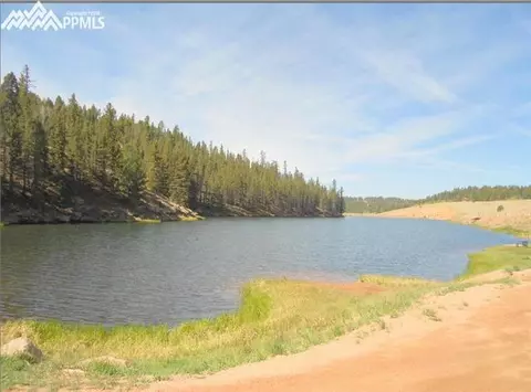 1785 Blue Mesa Dr, Divide, CO 80814 photo 21