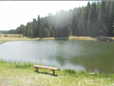 1785 Blue Mesa Dr, Divide, CO 80814 photo 20