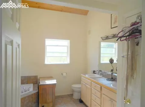 1785 Blue Mesa Dr, Divide, CO 80814 photo 13