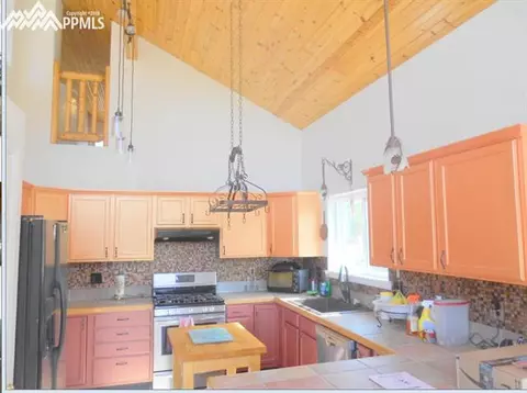 1785 Blue Mesa Dr, Divide, CO 80814 photo 5