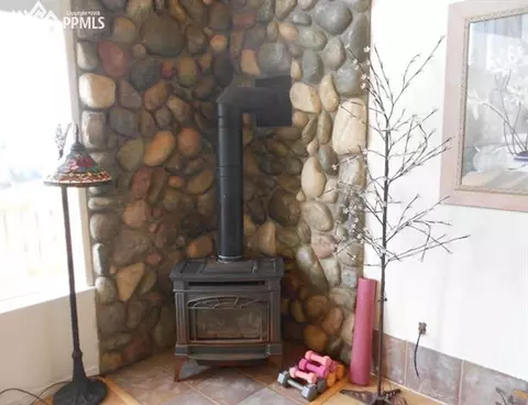 1785 Blue Mesa Dr, Divide, CO 80814 photo 4