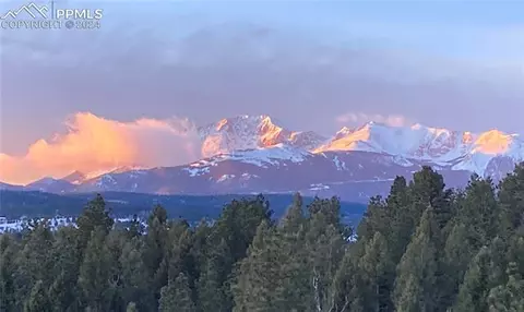 204 Spruce Dr, Woodland Park, CO 80863