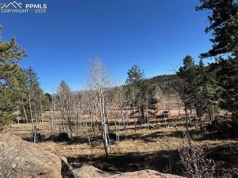 21 County Road 403, Guffey, CO 80820