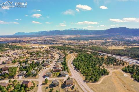 1822 Painter Dr, Monument, CO 80132 photo 39