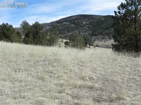 1087 Monarch Dr, Cripple Creek, CO 80813