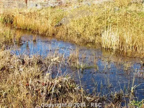 80 Post Rd, Guffey, CO 80820 photo 8