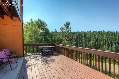 2219 Blue Mesa Dr, Divide, CO 80814 photo 15