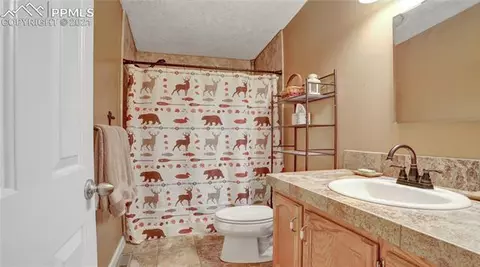 902 Rangeview Rd, Divide, CO 80814 photo 29