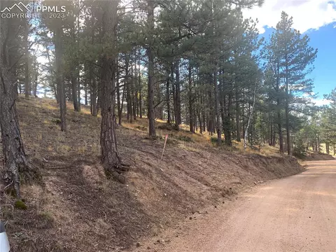 386 Hillside Dr, Florissant, CO 80816