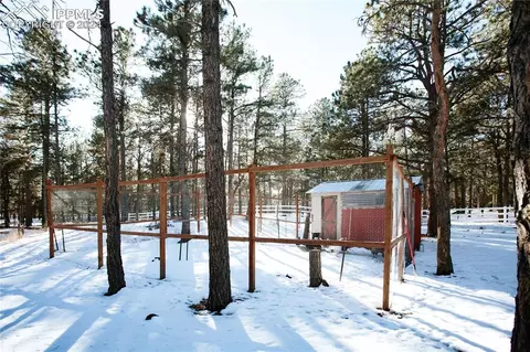 14355 Timber Grove Ln, Elbert, CO 80106 photo 10
