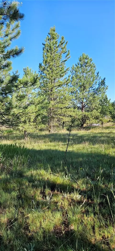70 Andesite Ln, Florissant, CO 80816