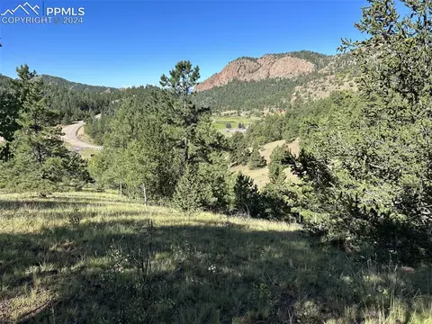 419 Midday Cir, Cripple Creek, CO 80813