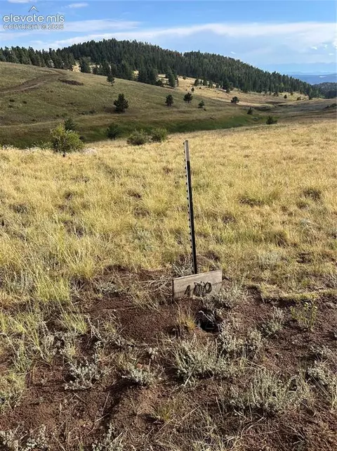 1100 Grumpy Burrow Vw, Cripple Creek, CO 80863