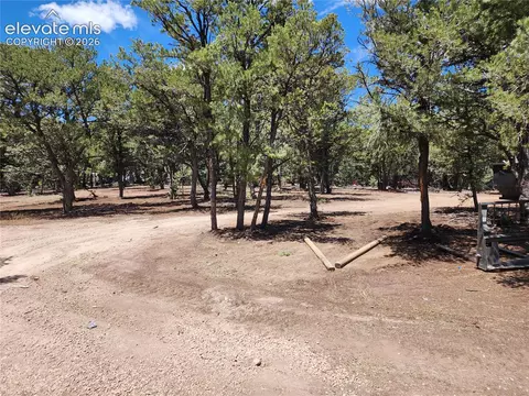 000 8th Trl, Cotopaxi, CO 81223 photo 8