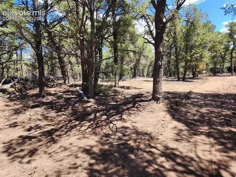 000 8th Trl, Cotopaxi, CO 81223 photo 5