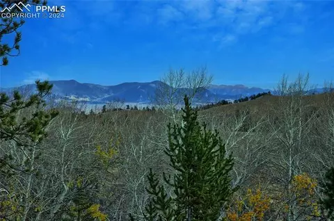 44 Hill Dr, Hartsel, CO 80449 photo 4