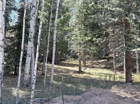 453 Homestead Dr, Woodland Park, CO 80863