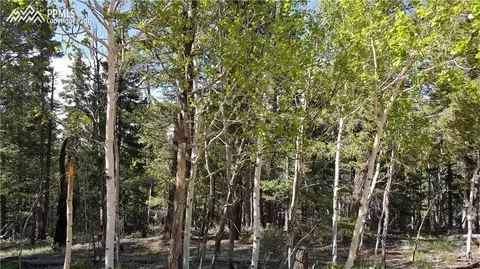 509 Ridge Rd, Divide, CO 80814 photo 1
