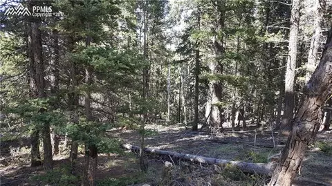 509 Ridge Rd, Divide, CO 80814 photo 2
