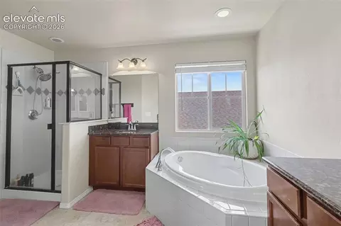 Bath - 12172 Eagle Crest Ct, Peyton, CO 80831 photo 1 of 5
