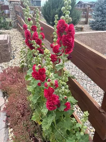 Other - 9822 Emerald Vista Dr, Peyton, CO 80831 photo 15 of 19