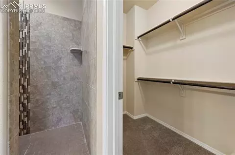 Other - 9822 Emerald Vista Dr, Peyton, CO 80831 photo 5 of 19
